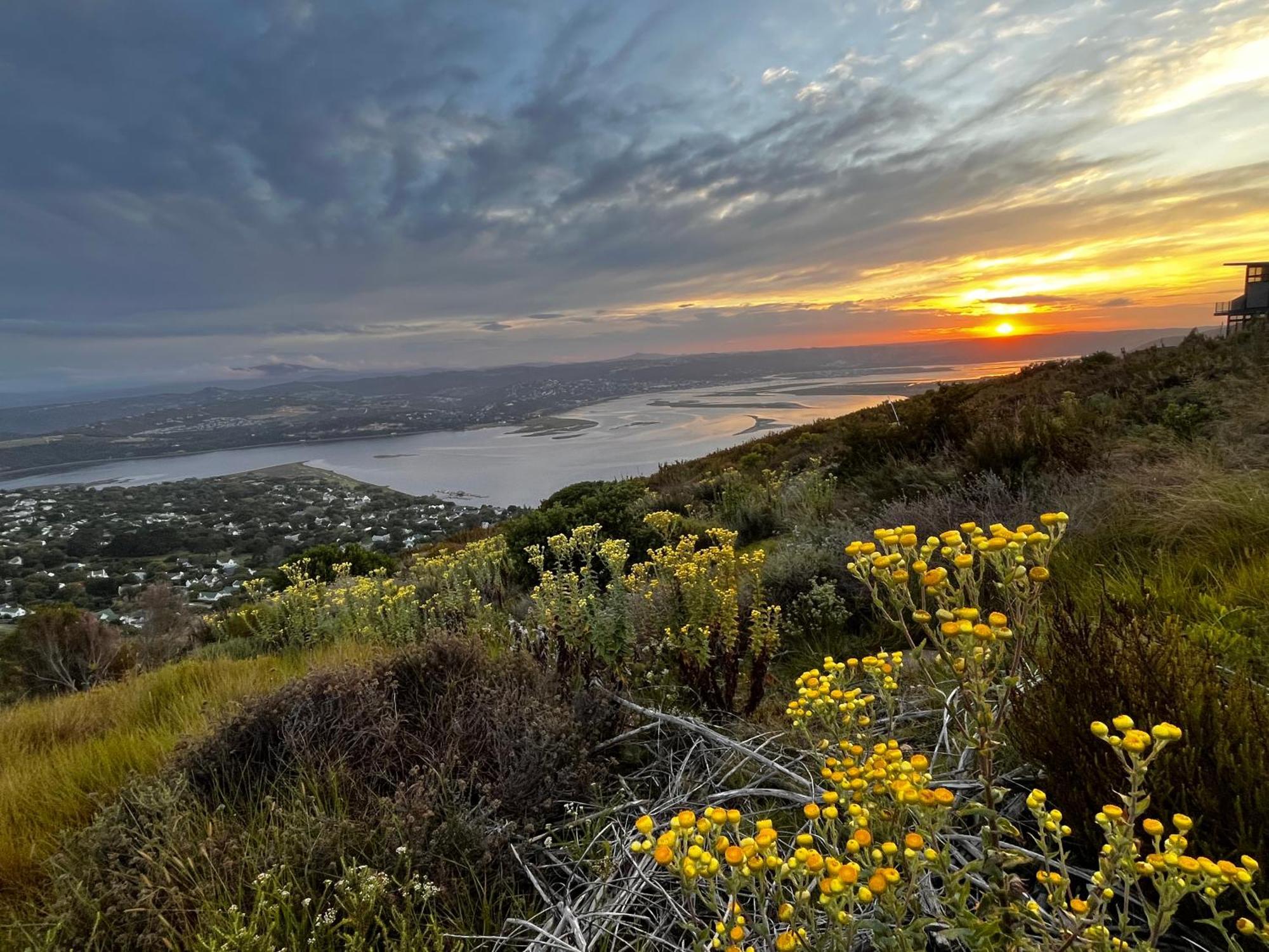 Die Uitzicht Guesthouse - Knysna Eksteriør billede